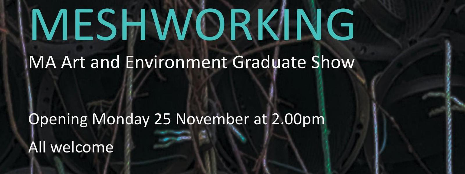 Meshworking: MA Art and Environment Graduate Show